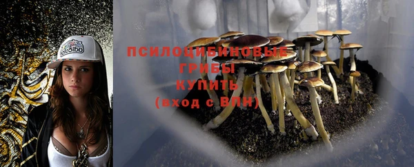 мяу мяу мука Балахна