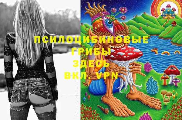прущие крисы Баксан